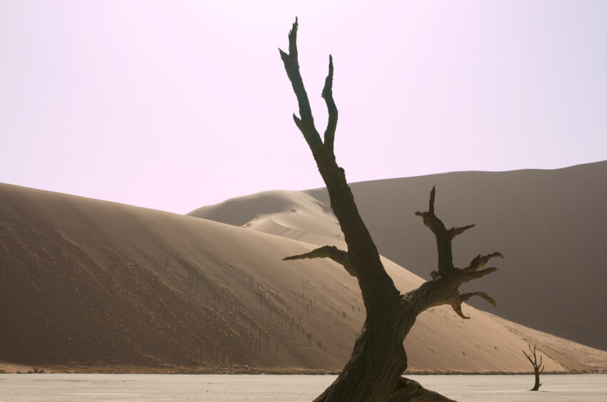 Deadvlei